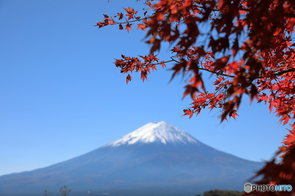 富士山と河口湖75