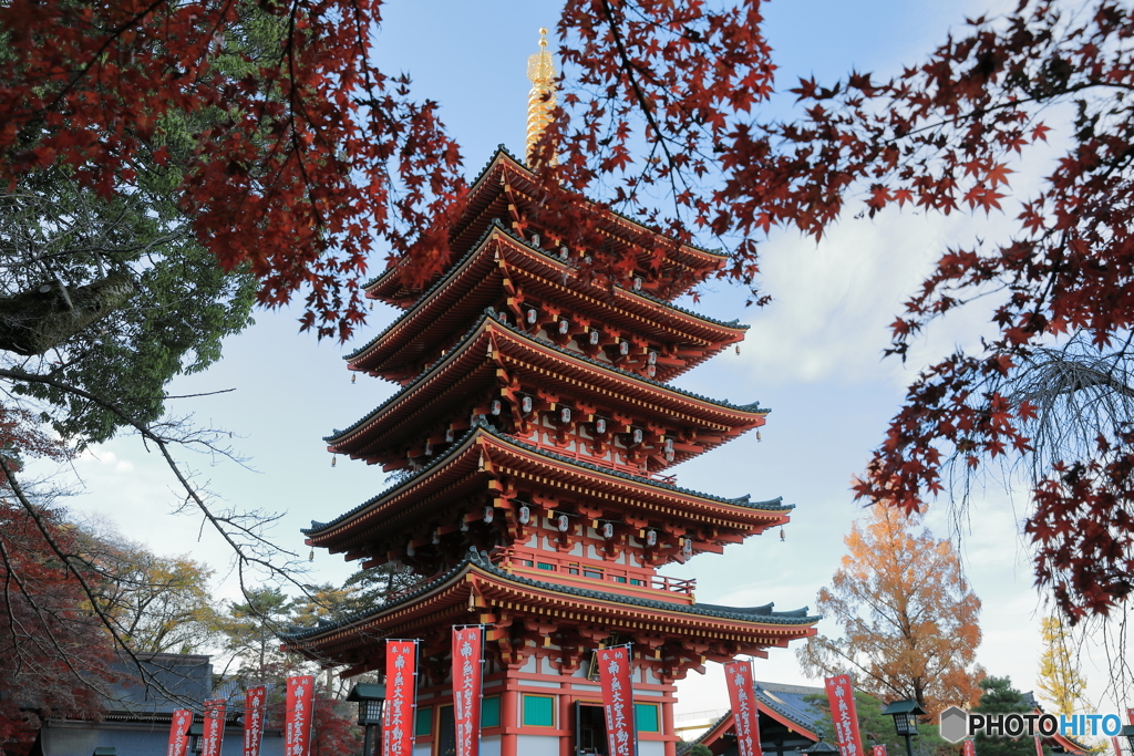 高幡不動46