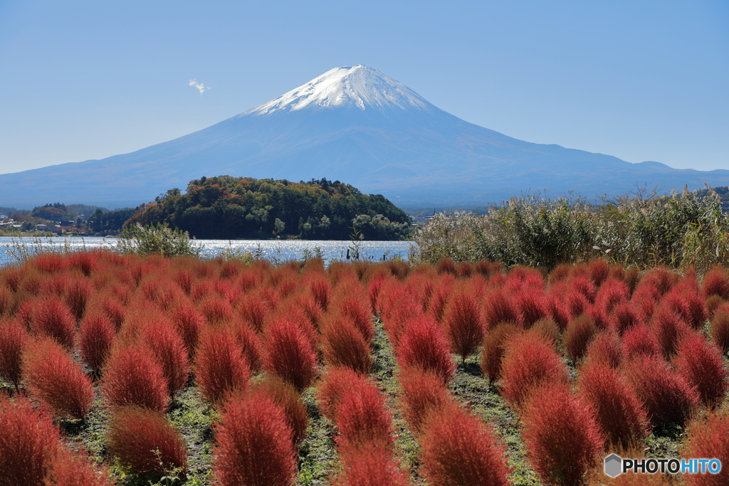 富士山と河口湖36