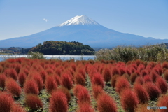 富士山と河口湖36