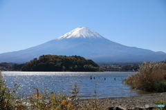 富士山と河口湖28