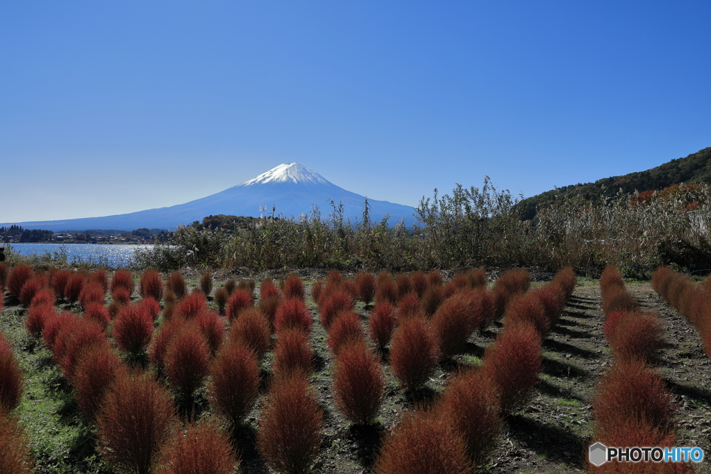 富士山と河口湖23