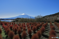 富士山と河口湖23