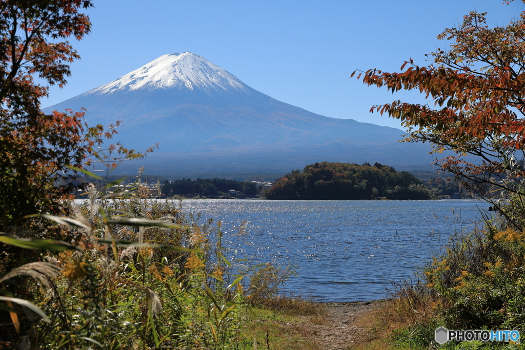 富士山と河口湖52