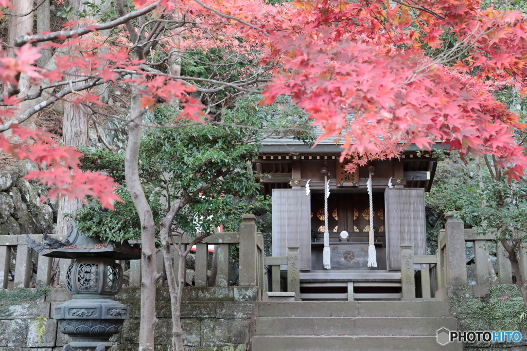 大山(神奈川県伊勢原市）36