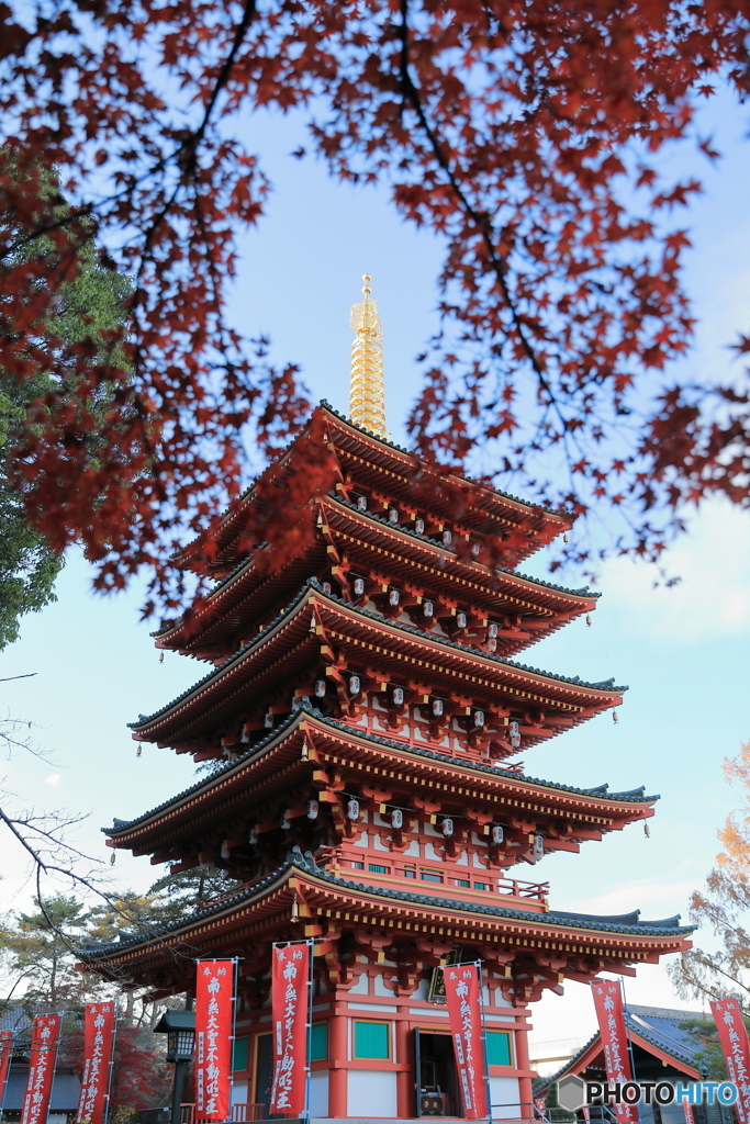 高幡不動47