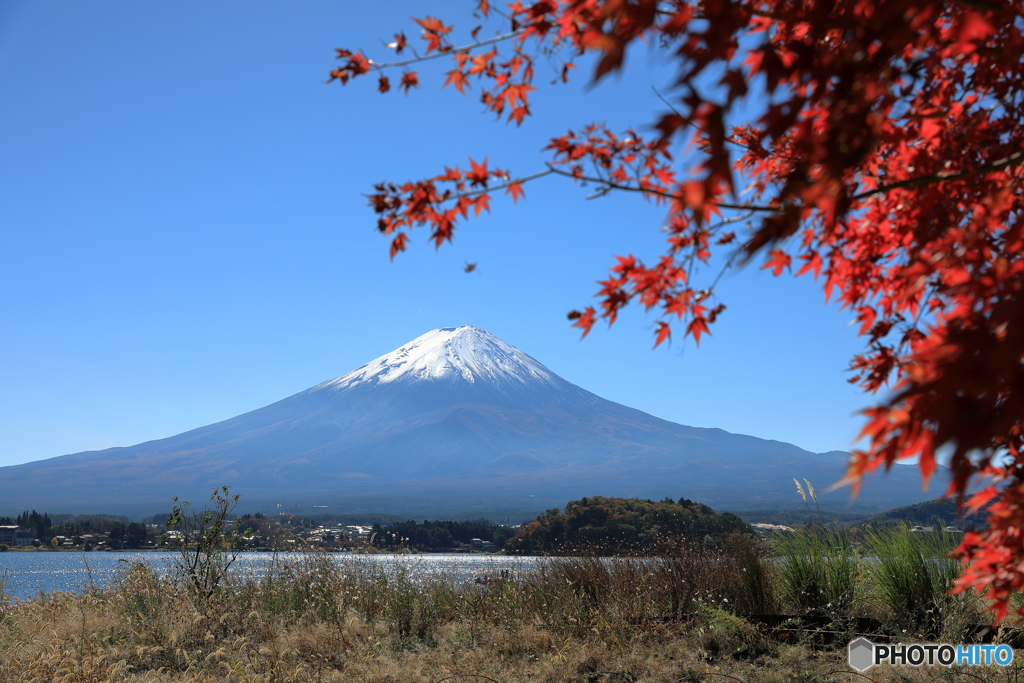 富士山と河口湖73