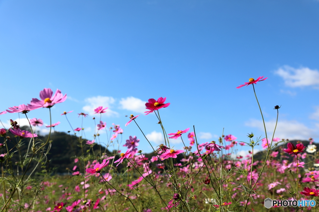 2019年11月4日8