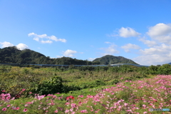 2019年11月4日4