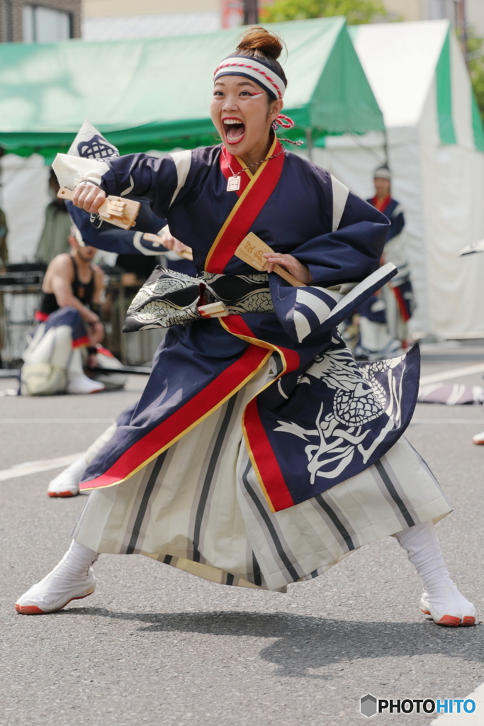 よさこい505