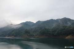 霧の宮ヶ瀬湖4