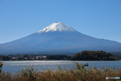 富士山と河口湖50