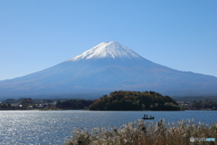 富士山と河口湖1