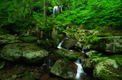 岩井滝 夏