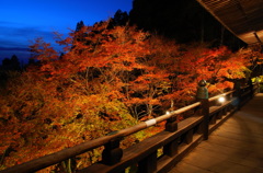 播州清水寺 ライトアップ