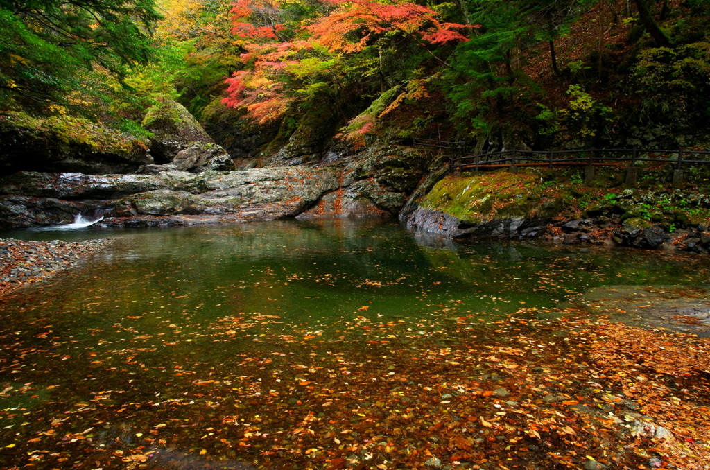 みたらい渓谷 紅葉 By Shinobu0213 Id 写真共有サイト Photohito