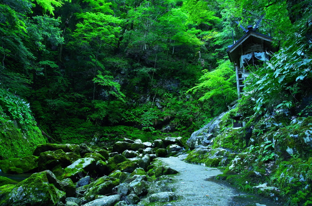 天岩戸神社