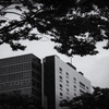 仙台