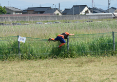 そこから天には、いけません