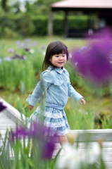 花菖蒲園にて前撮り②