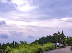 空の庭園