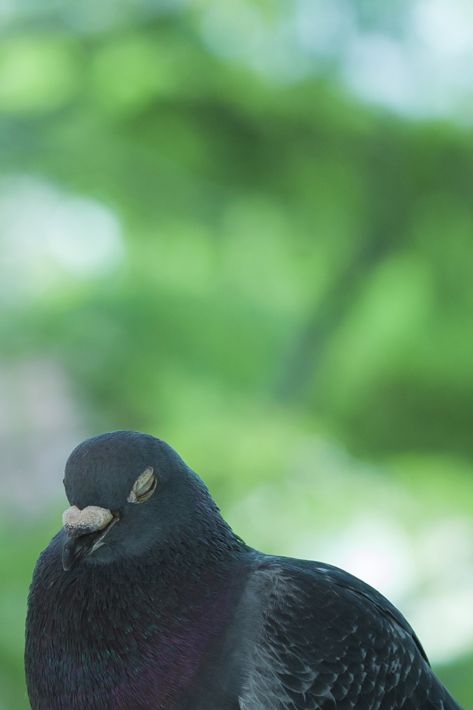 瞑想_IMG_3572_trim
