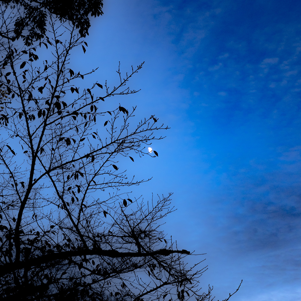 _P1020025