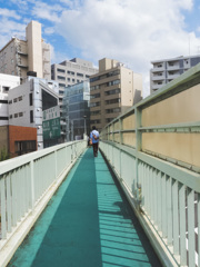 集束するライン