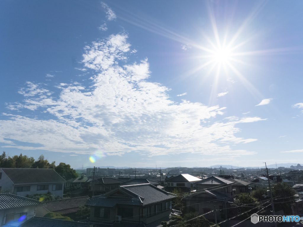 朝から眩しい太陽