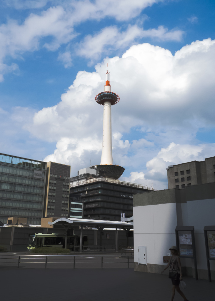 はじめて生で見ました
