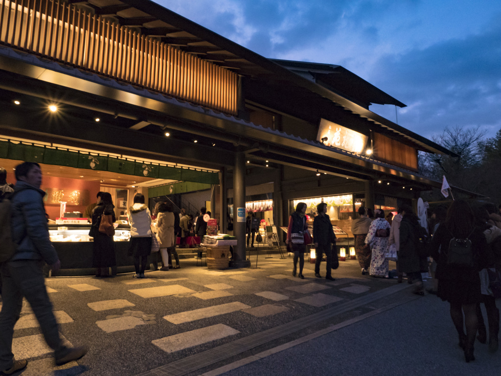 snap_kyoto_arashiyama_P1020052