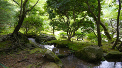 _P1010088_mov