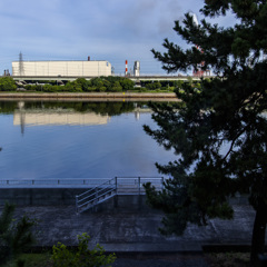 _IMG_3427_square