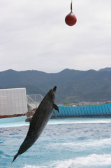 あかん、届かんかったわ_IMG_7346