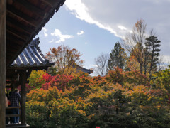 東福寺　通天橋