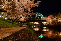 夜桜