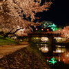 夜桜