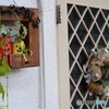 円頓寺商店街