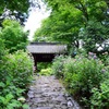 三河の紫陽花寺