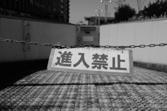 さきにあるもの