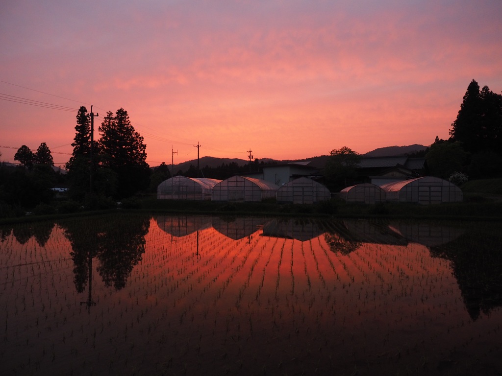 暮れの田園風景