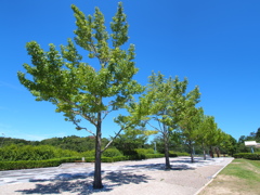 青空のもとで