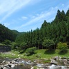 夏らしくマス釣り
