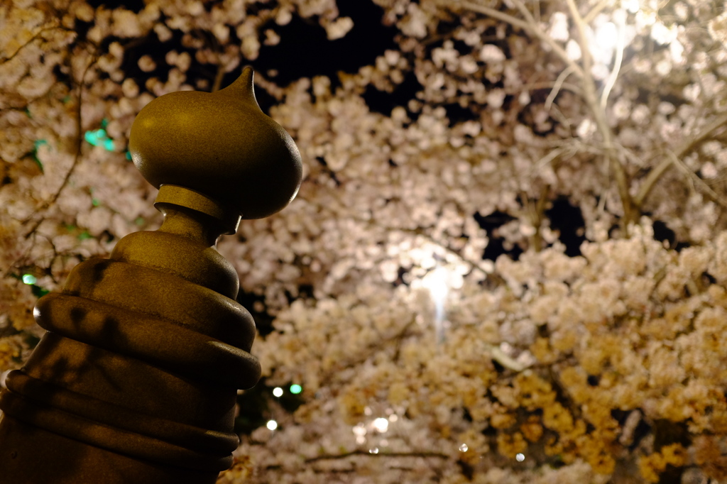 夜桜