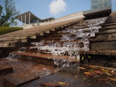 春の陽気に誘われて