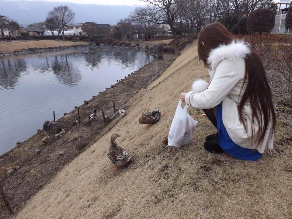阿蘇のカモさん&Jasmin