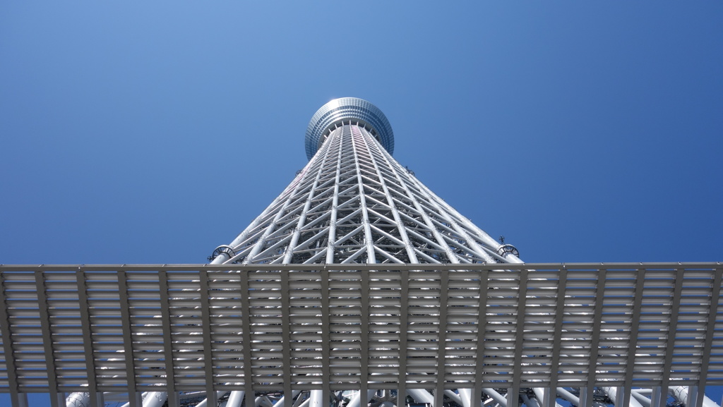 スカイツリーの足元