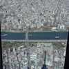 東京スカイツリーの影