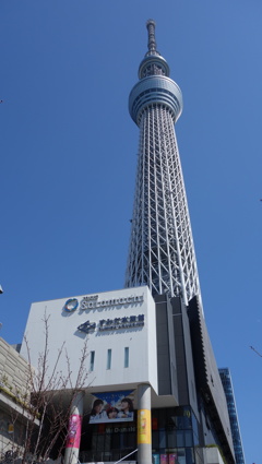 快晴のスカイツリー