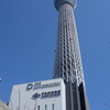 快晴のスカイツリー